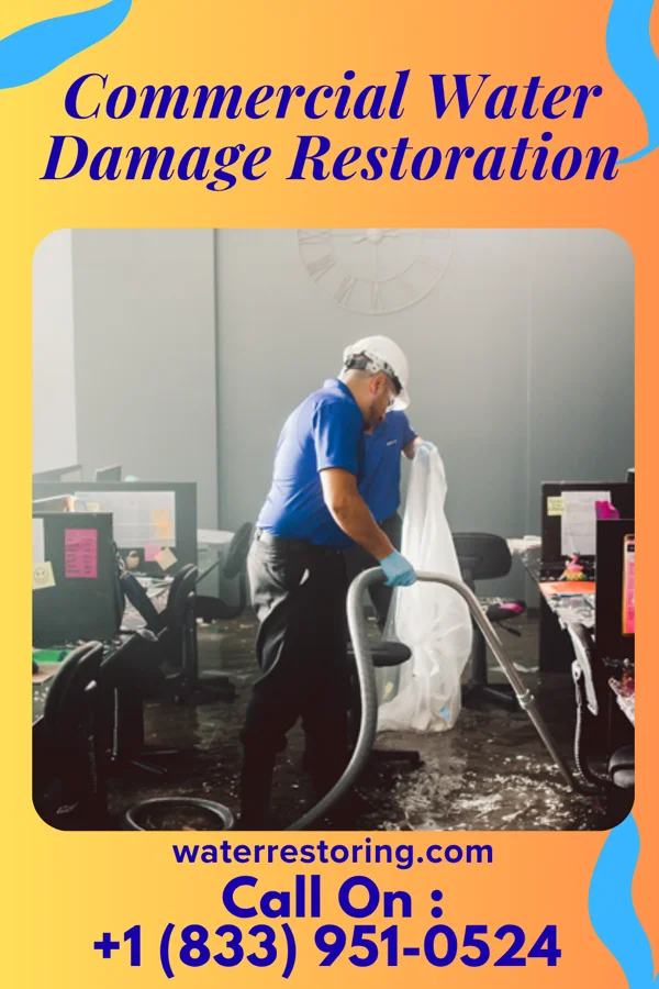 Commercial Water Damage Restoration in Nadine, NM