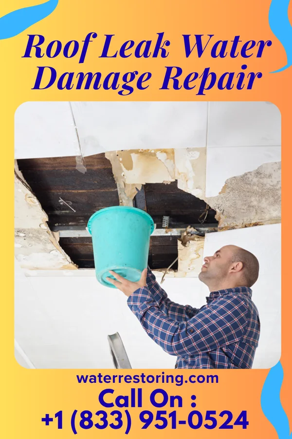 Roof Leak Water Damage Repair in Nadine, NM