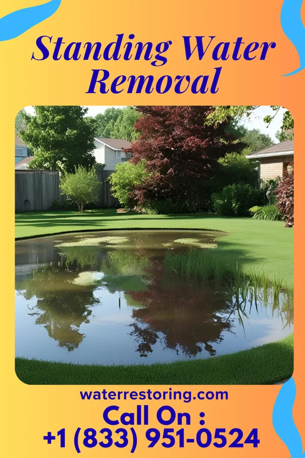 Standing Water Removal in Nadine, NM